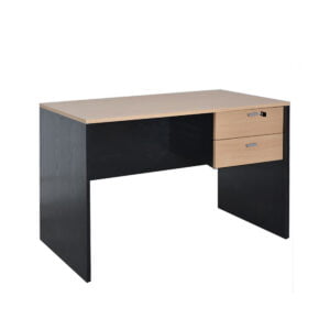 ESCRITORIO PLATINUM 100 5010 web