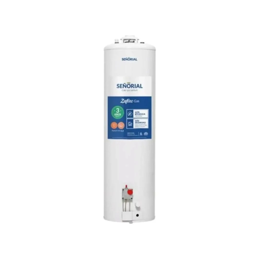 TERMOTANQUE SEÑORIAL 120L MG 330009